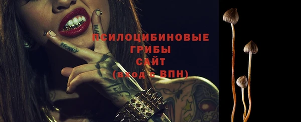 Альфа ПВП Михайлов