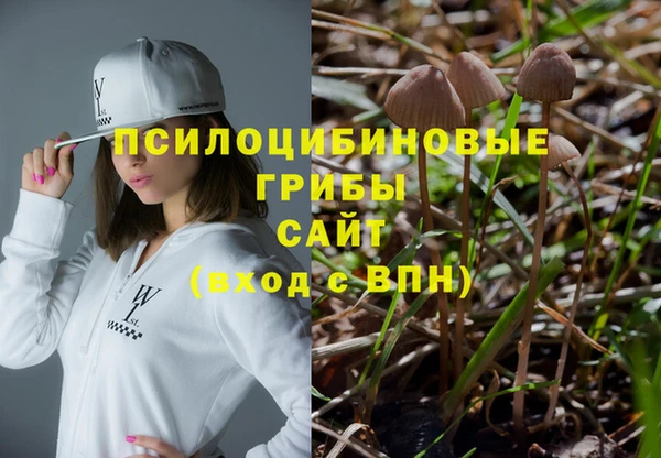 таблы Надым