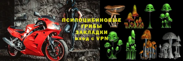гидра Медвежьегорск