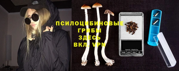 Альфа ПВП Михайлов