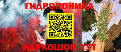 сатива Кандалакша
