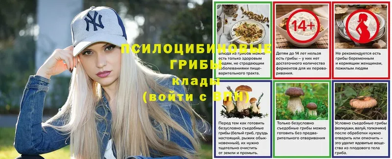 Галлюциногенные грибы GOLDEN TEACHER  Мегион 