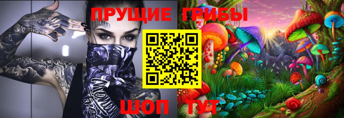 Галлюциногенные грибы Cubensis Мегион