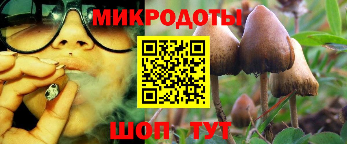 А ПВП Мегион
